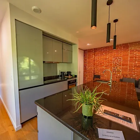 Le Moulin De La Flambere تولوز