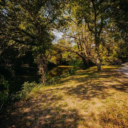 Le Moulin De La Flambere تولوز