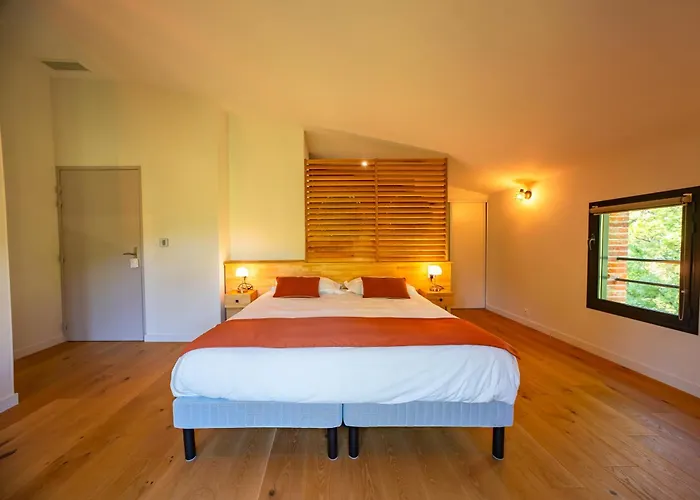 Le Moulin De La Flambere * 圖盧茲