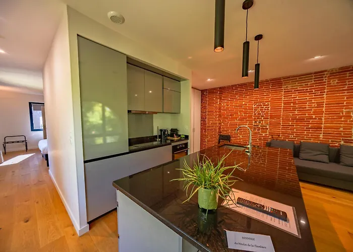 Le Moulin De La Flambere 圖盧茲