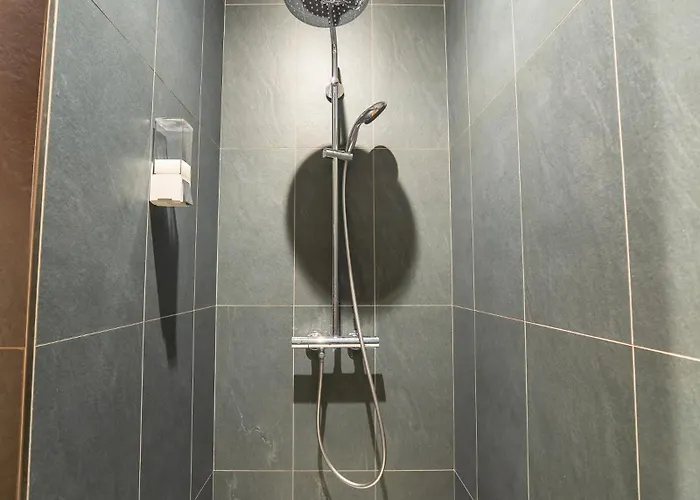 公寓 Le Moulin De La Flambere *