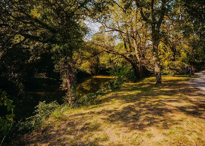 Le Moulin De La Flambere Τουλούζη